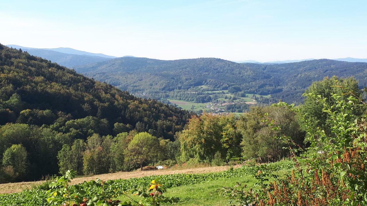 Ferienapartment 38 Sonnenwald Langfurth  Luaran gambar
